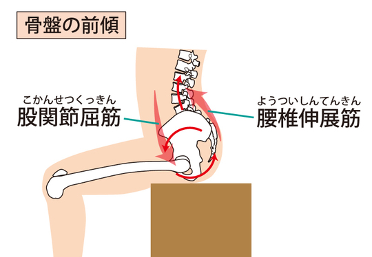 骨盤の前傾