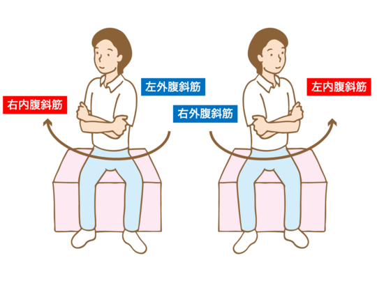腹斜筋の共同収縮