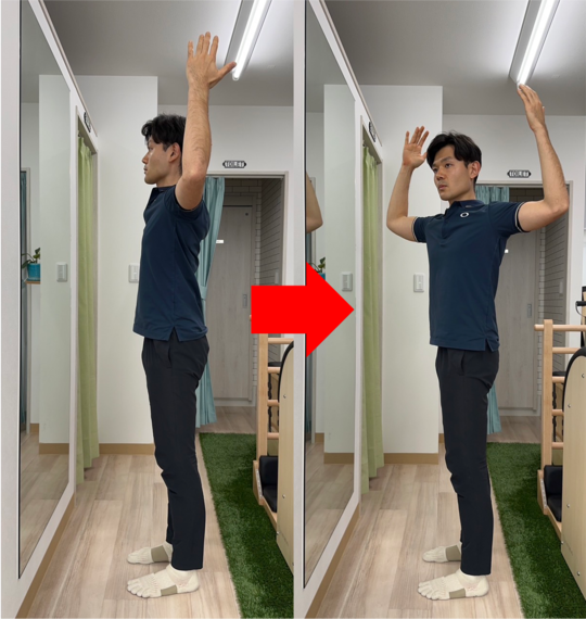 下後鋸筋のトレーニング
