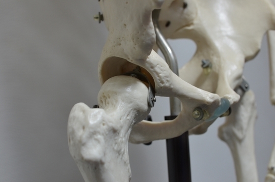 股関節が動かせると良い７つの理由